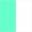 Turquoise/White