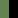 Forest/Black