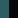 Spruce/Black