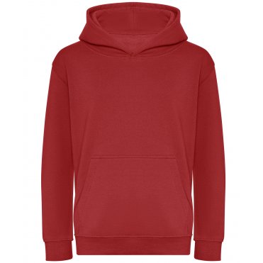 J201J Children's Organic Hoodie