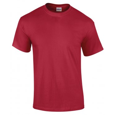 GD002 Ultra Cotton Adult T-Shirt