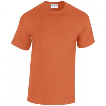 GD005 Heavy Cotton Adult T-Shirt