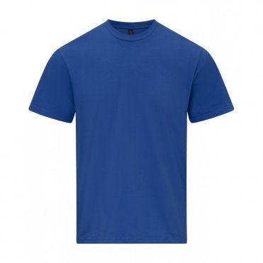 GD024 Softstyle Midweight Adult T-Shirt