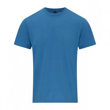 GD024 Softstyle Midweight Adult T-Shirt