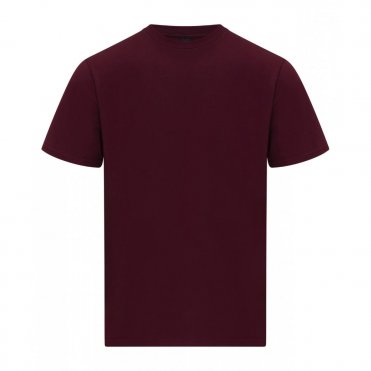 GD024 Softstyle Midweight Adult T-Shirt