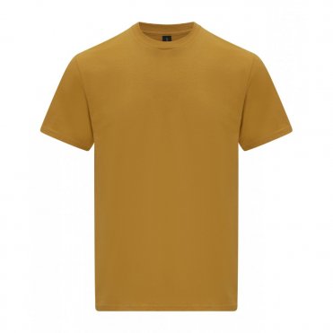 GD024 Softstyle Midweight Adult T-Shirt