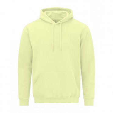 GD067 Softstyle Midweight Fleece Adult Hoodie