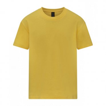 GD24B Softstyle Midweight Children's T-Shirt