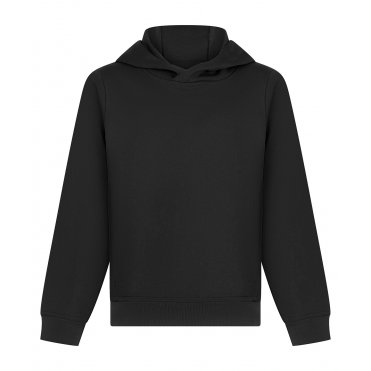 LV342 Children's Team Hoodie