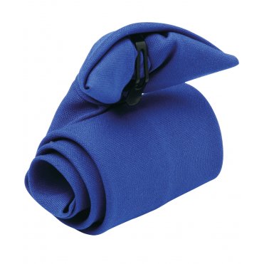 PR710 Clip Tie