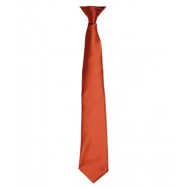 PR755 Colour Satin Clip Tie