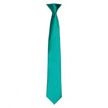 PR755 Colour Satin Clip Tie