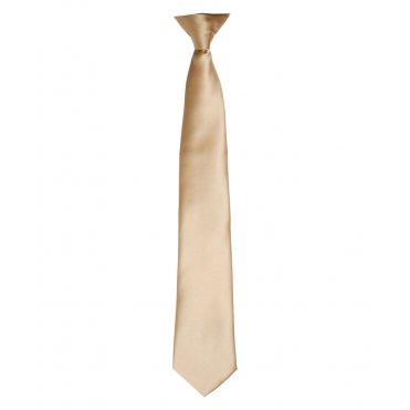 PR755 Colour Satin Clip Tie