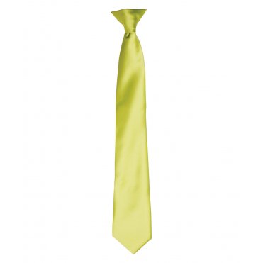 PR755 Colour Satin Clip Tie