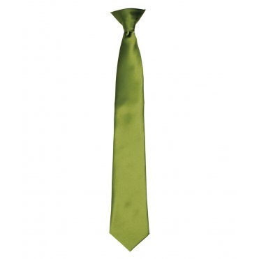 PR755 Colour Satin Clip Tie