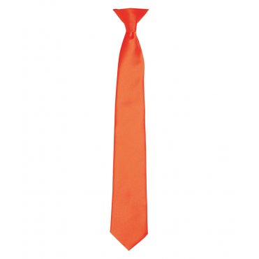 PR755 Colour Satin Clip Tie