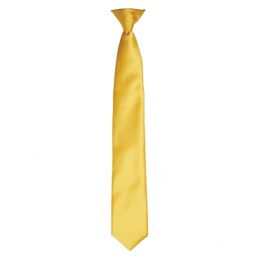 PR755 Colour Satin Clip Tie