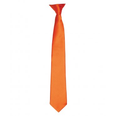 PR755 Colour Satin Clip Tie