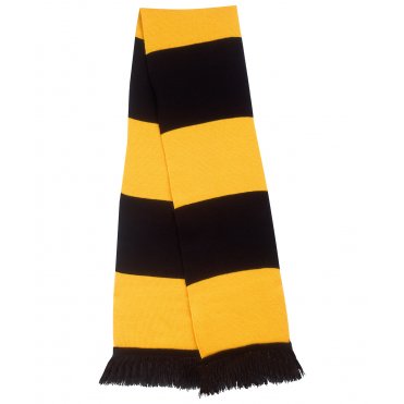 R146X Team Scarf