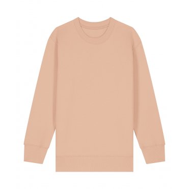 SX704 Children's Mini Changer 2.0 Iconic Crew Neck Sweatshirt (Stsk181)
