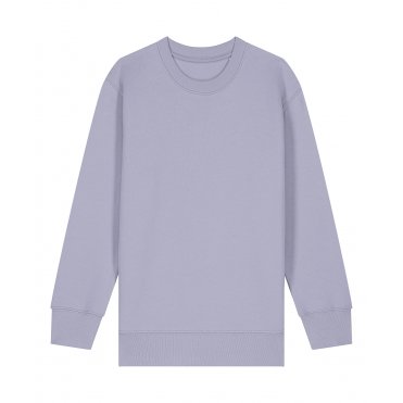 SX704 Children's Mini Changer 2.0 Iconic Crew Neck Sweatshirt (Stsk181)