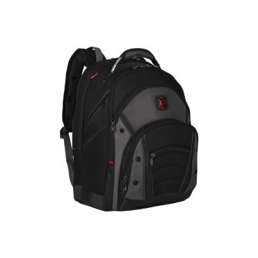 Synergy Backpack
